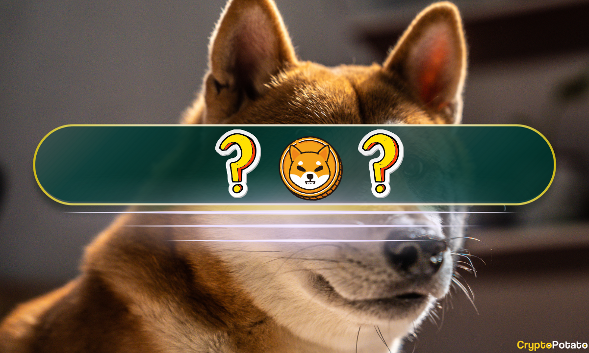 The Best Shiba Inu (SHIB) Alternatives in 2024: Meme Coin Deep Dive